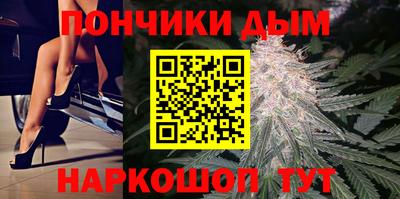 сатива Краснознаменск